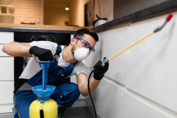 Best Mosquito Control Services  in Linda, CA