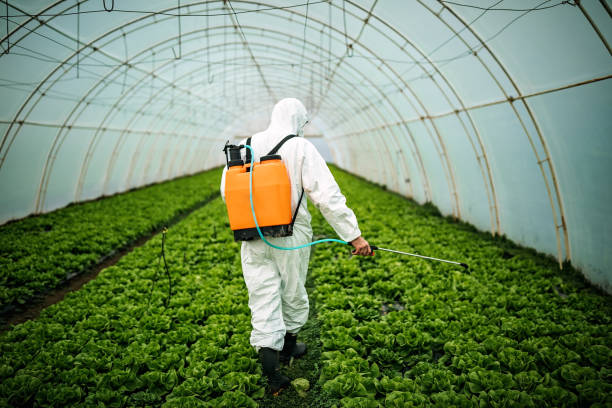 Best Affordable Pest Control Services  in Linda, CA