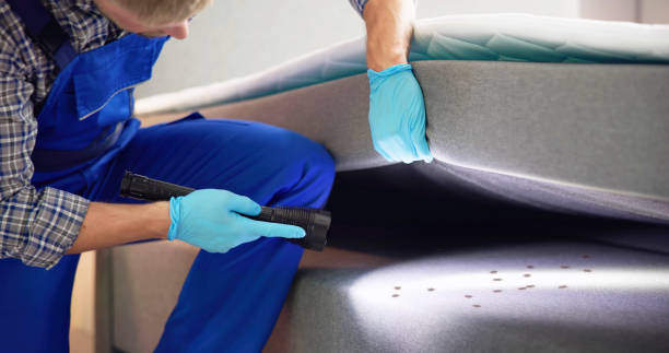 Best Rat Extermination Near Me  in Linda, CA