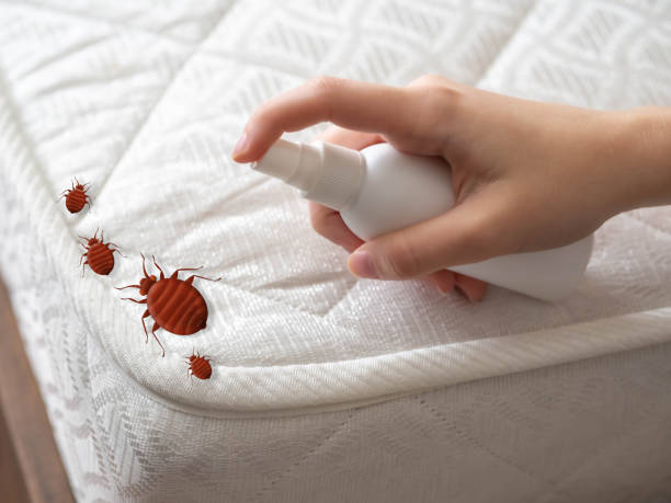 Best Pest Inspection Near Me  in Linda, CA