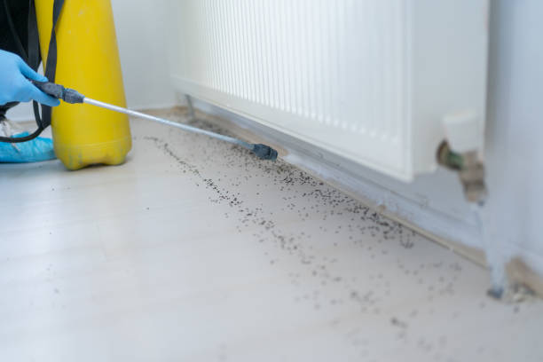 Best Pest Removal Services  in Linda, CA