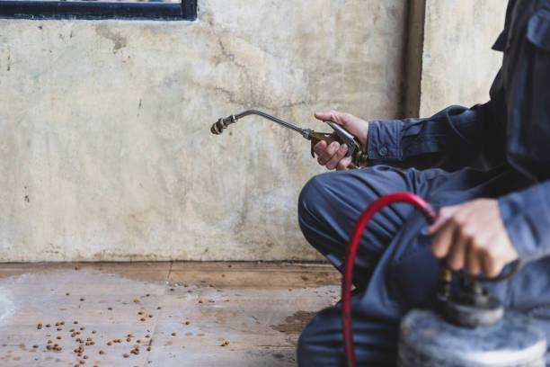 Best Local Pest Control Services  in Linda, CA